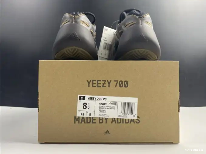 ADIDAS 700 GY0189 YEEZY V3 0604